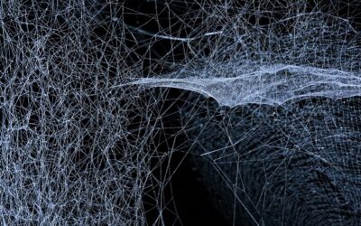 What Is the Dark Web and Why Should You Care?